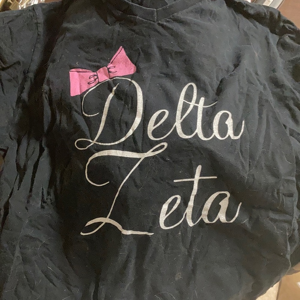 Delta Zeta